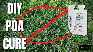 KILL POA on a Budget  The Lowdown on the Best Method.