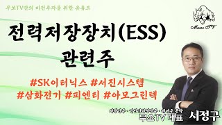 전력저장장치(ESS) 종목의 기회!!