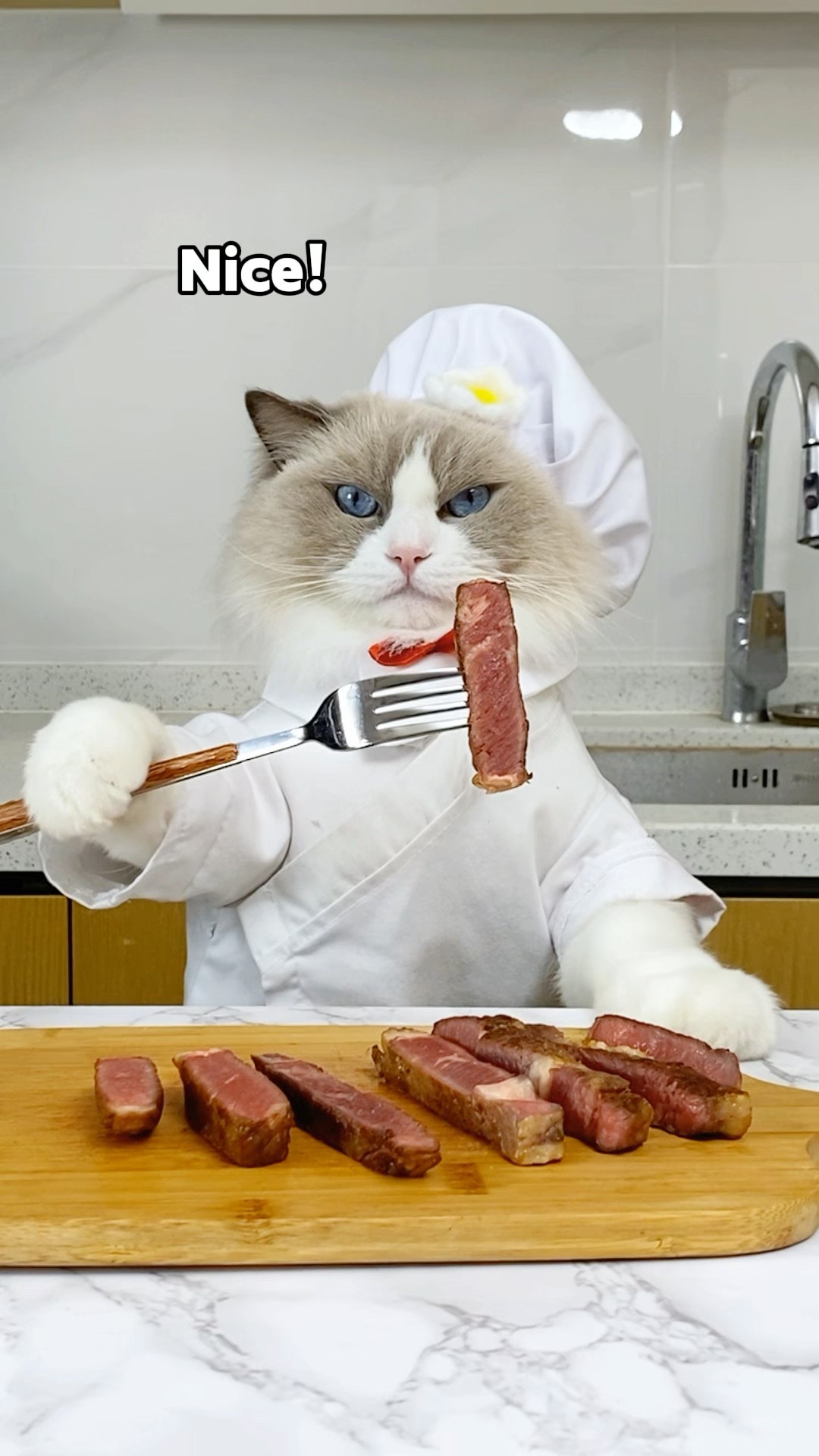 How do you like your toaster-steak cooked?  ?? #PuffTheInnovator #ToasterSteak #thatlittlepuff