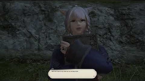 FFXIV - What