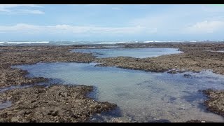 piscinas naturais - maré baixa - Flecheiras - Trairi