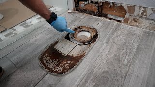 The Reality of DIY Mold Remediation