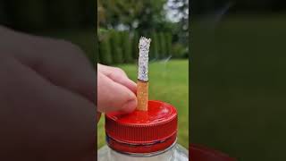 What goes into your lungs when you smoke a PACK of cigarettes?