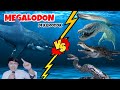 Hiu megalodon melawan 4 predator laut  siapa yang bakal menang hiumegalodon megalodon hiu