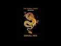 The cobra taboo sessions with dimal techno mix