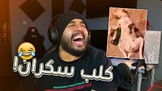 الله يزوّجك وحدة من التيك توك 😭! | #ميمز