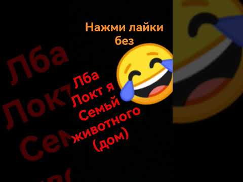 2 ноября 2023 г.