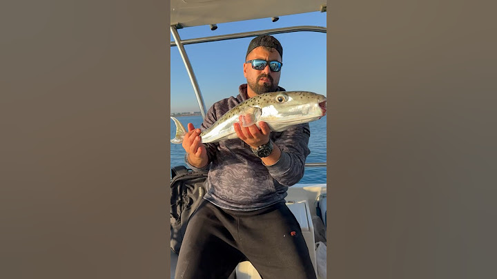 Zehirli Balon Balığı 🐡 Asla yemeyin ‼️ #shortsvideo #balıkavı #balonbalığı