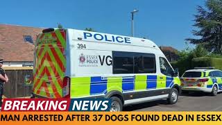 BREAKING NEWS: MAN ARRESTED AFTER 37 DOGS FOUND DEAD IN ESSEX