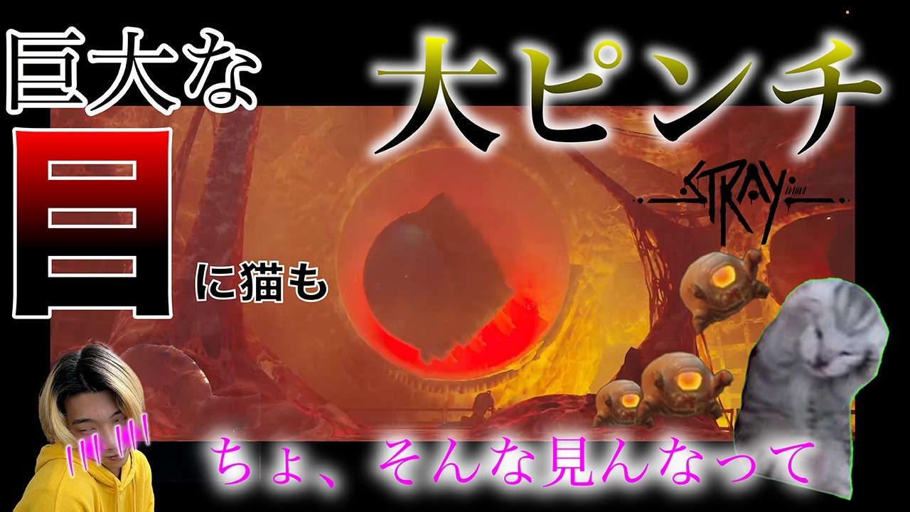 目と目が合ぅ〜 #ゲーム実況 #ゲーム #実況 #下手注意 #ホラーゲーム #stray #cat #猫 #発狂