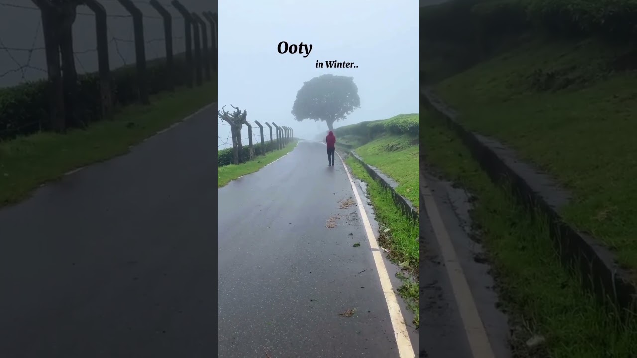 🔥 भारत की सबसे खूबसूरत Hill Station में क्या खास है? 😊 #Viral #shorts #travel