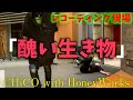 『醜い生き物』 レコーディング現場/CHiCO with HoneyWorks