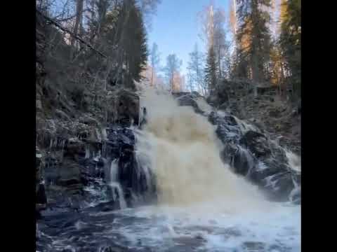 فيديو: منتزه Paanajärvi الوطني ، كاريليا: الوصف والمعالم السياحية والحقائق المثيرة للاهتمام