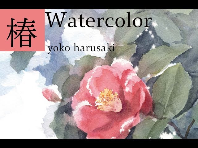 春崎陽子 水彩画山茶花の描き方 Yoko Harusaki watercolor - YouTube