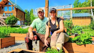 Gardening Chores Homegrown Dinner Summer Days on Our Alaska Homestead