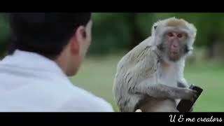 Askay Kumar Ka Camedi Ashay Kumar Ka Camedi