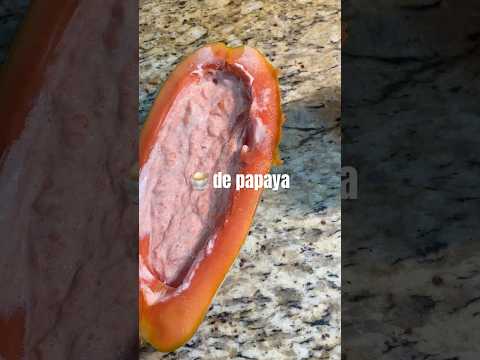 Quedó súper cremosa !! 🍨 #papaya #postre #2ingredientes #nievedefruta #cocinaconmigo