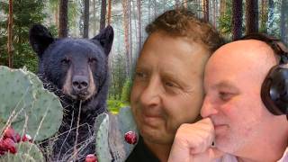 PRICKLY BEAR