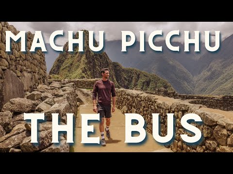 The Bus to