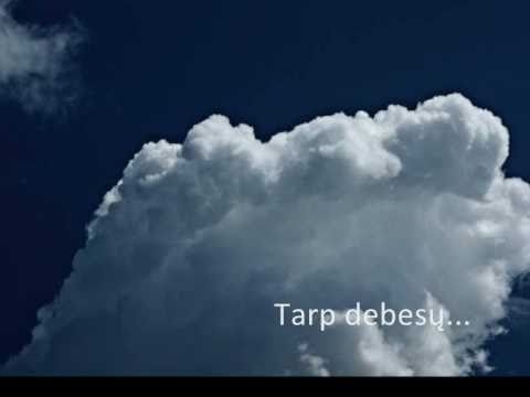 Video: Tarp Scylla Ir Charybdis. Pasaka