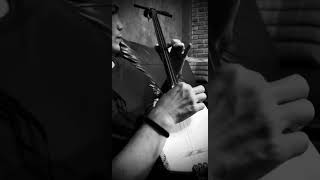 The Japanese shamisen is played with the fingers. #Shamisen #TsugaruShamisen #WorldMusic