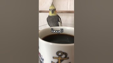 #الجمعة | #اللهم_صل_وسلم_على_نبينا_محمد | #دعاء_مستجاب | #سورة_الكهف | #ساعه_استجابه