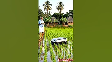 Smart Farming Robot in Paddy Field | Easy Weeding Machine | 4K Ultra Realistic #shorts