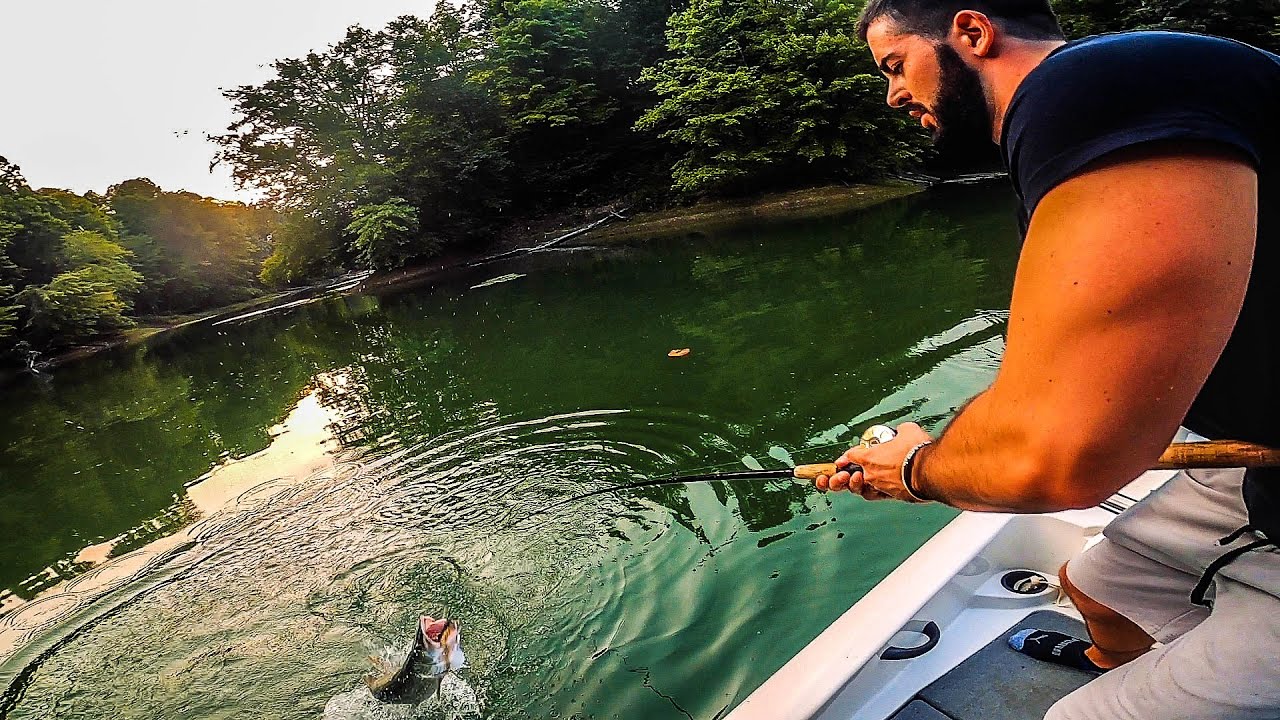 Finding EARLY Fall Muskies in SHALLOW CLEAR Water