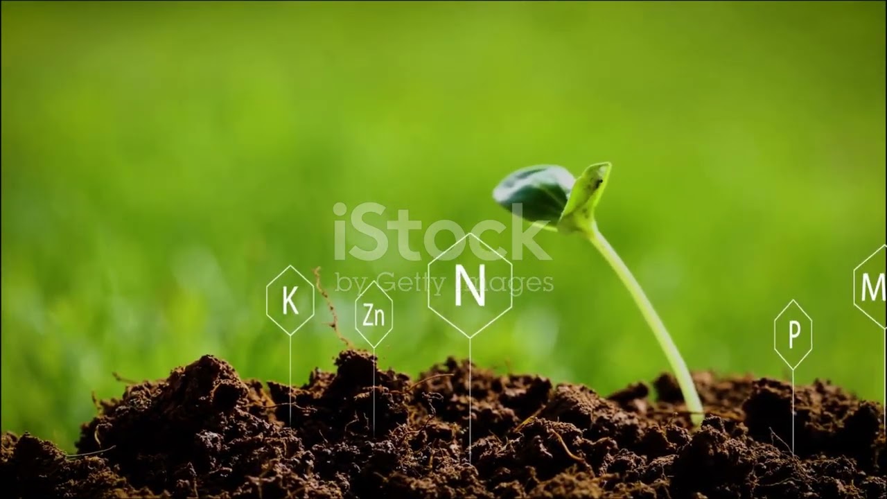 pH del suelo: La base oculta que define el éxito de tu cultivo 🌱 #agriculturatropical 