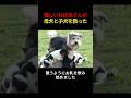 心優しいおばあさんが墓地で暮らす母犬と子犬たちを救出した #犬 #子犬 #犬の救出 #感動ストーリー #犬動画
