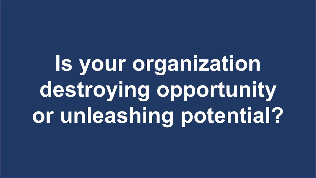 Is Your Business Destroying Opportunity or Unleashing Potential?