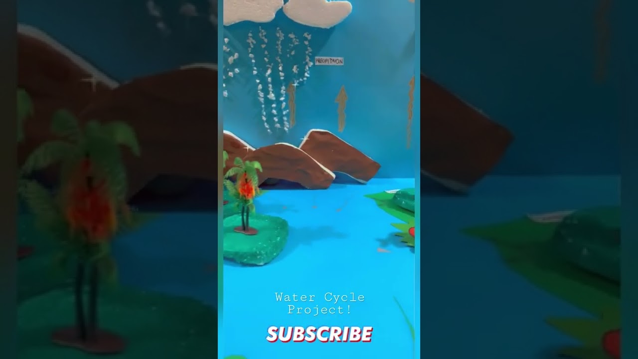 Water Cycle /school Project! 