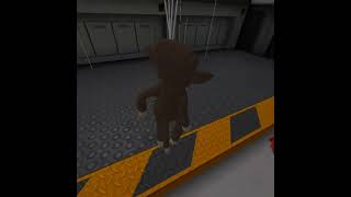 Famous Monkey spinning in bone lab Net Worth