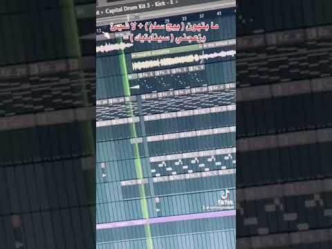 ما بتهون بيج سام لا شيء يزعجني سينابتك ميكس