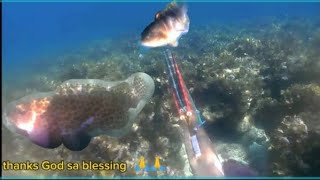 Day Spearfishing🇵🇭🇵🇭🇵🇭thank God sa blessing by Zambales Spearfishing 588 views 12 days ago 10 minutes, 58 seconds