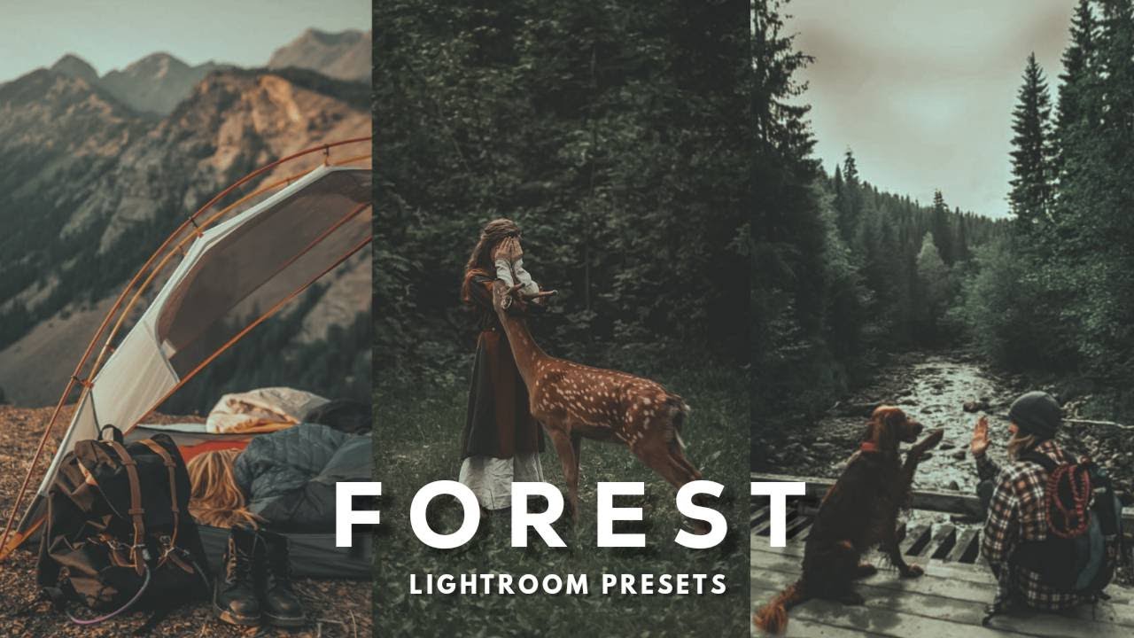 Top Free Lightroom Presets | Forest Adobe Lightroom Presets Free Download | Editrend
