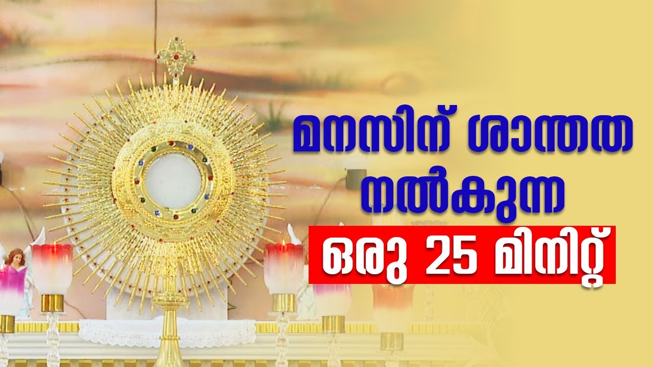 മനസിന്‌ ശാന്തത നൽകുന്ന ഒരു 25 മിനിറ്റ്  | Thirusannidhi : 24 Fr Rojan Cheriyadan | ShalomTV