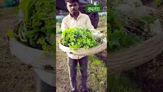 Every Seed You Plant At Mrudgandh Grows Into More Than Veggiesit Grows Into Happiness
