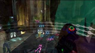 Herbal T Shine Sun Shine