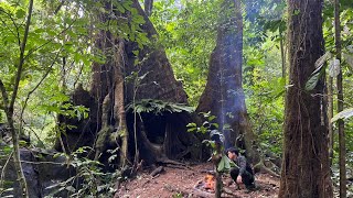 Solo Bushcaft: Survive and take shelter under a tree thousands of years old. 365 days of Survival.