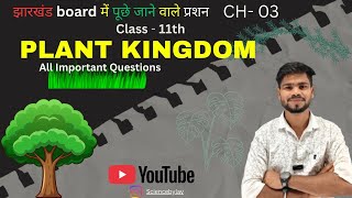 Plant Kingdom Class 11 Biology 🔥 One Shot | NCERT Based 