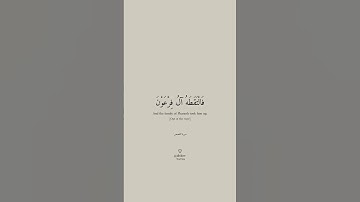 فالتقطه آل فرعون ليكون لهم عدوا وحزنا إن فرعون وهامان وجنودهما كانوا  | سورة القصص | الآية : ٨