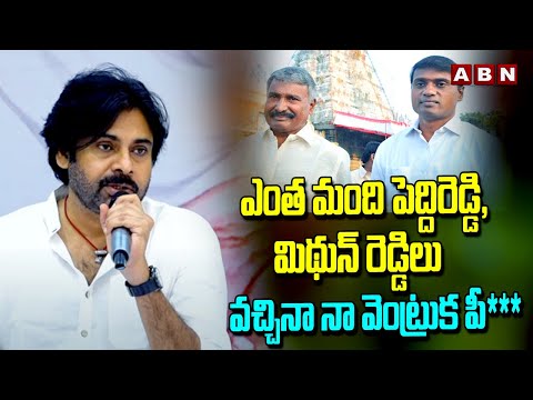 ఎంత మంది పెద్దిరెడ్డి, మిథున్ రెడ్డి లు వచ్చినా నా వెంట్రుక పీ**** | Pawan Sensational Comments| ABN - ABNTELUGUTV