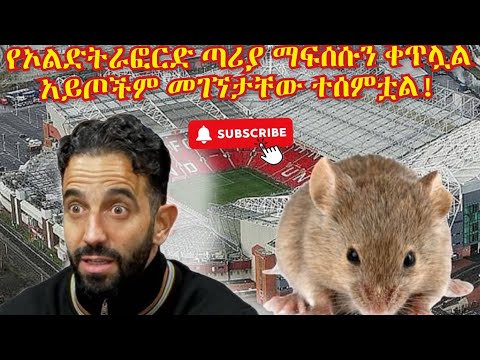 ኦልድትራፎርድ በአይጥ ተከቧል ጣሪያው ማፍሰሱም ቀጥሏል 