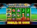 ПОЙМАЛ ЛОШАДЬ НА X1000 В BIG BASS DAY AT THE RACES! ЗАНОС В БИГ БАСС ДЕЙ АТ ЗЕ РЕЙСЕС?