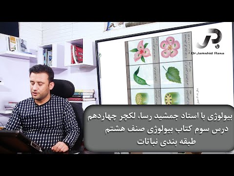 بیولوژی با استاد جمشید رسا، لکچر چهاردهم، درس سوم صنف هشتم، طبقه بندی نباتات