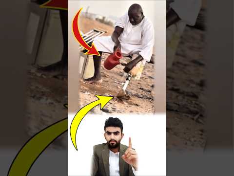 ما بين ضعف الصحة وقوة الإيمان يظل القلب متعلق ا بلقاء الله   