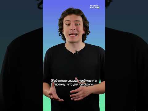 Сколько сердец у осьминога?