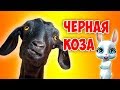 Черная Коза! Супер прикольная песня переделка попурри от ZOOBE Зайки Natali