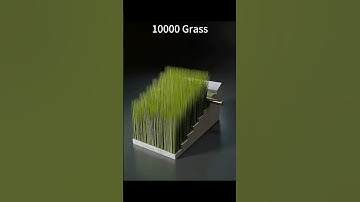 10,000 Grass Physics Simulation